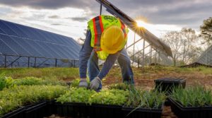 Greenbacker agrivoltaics solar energy