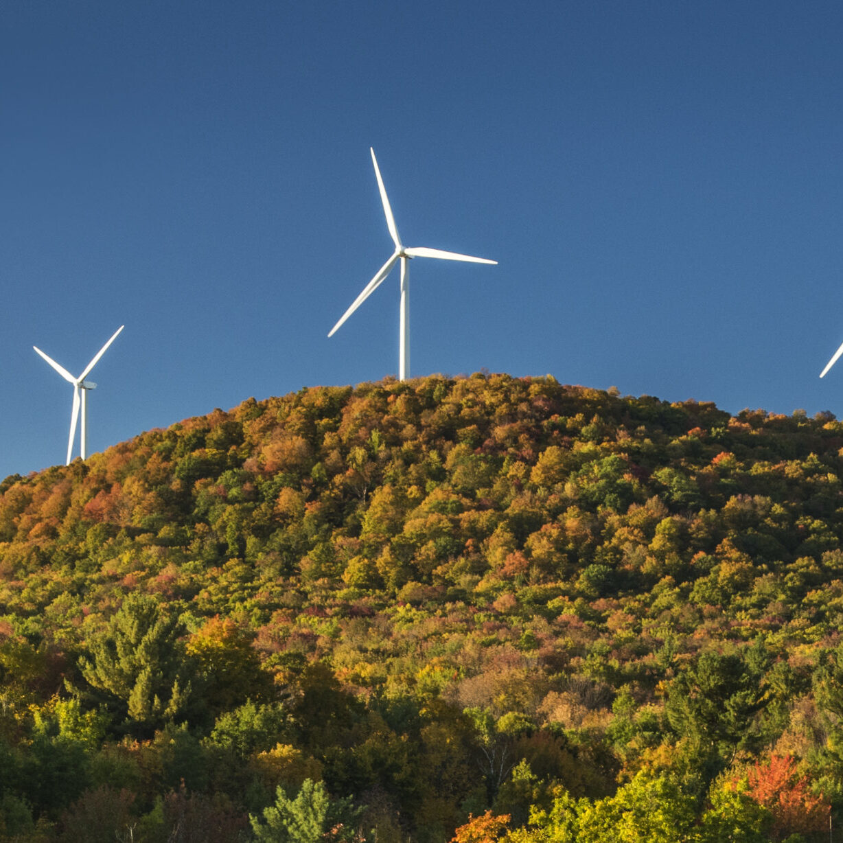 Greenbacker wind power turbines Greenbacker wind energy investment
